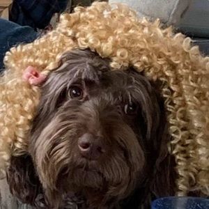 Meet your Posher, Andy